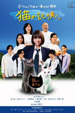 糸島映画 猫の記憶
