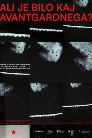 Ali je bilo kaj avantgardnega?