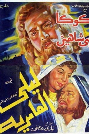 ليلى العامرية