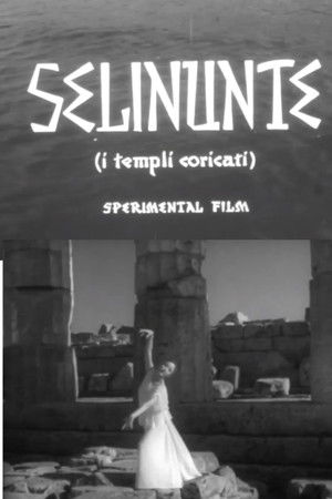 Selinunte, i templi addormentati