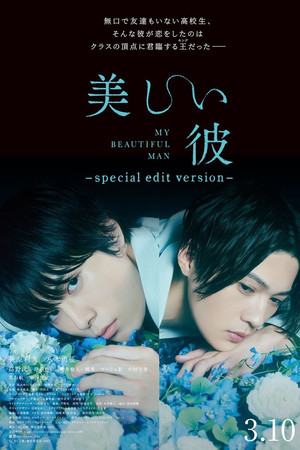 美しい彼～special edit version～