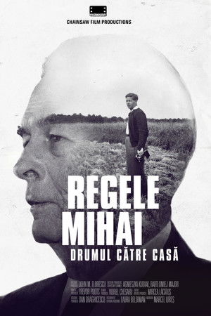 Regele Mihai: Drumul către casă