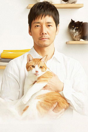 ブランケット・キャッツ