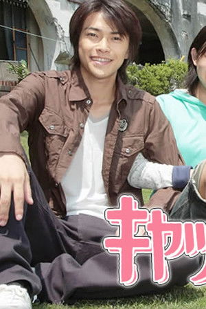 キャットストリート