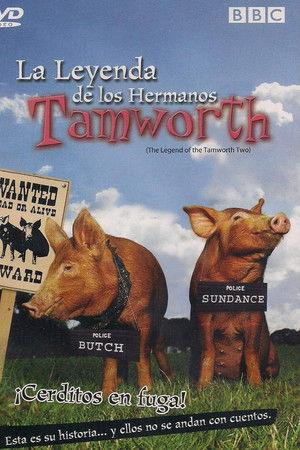 The Legend of the Tamworth Two