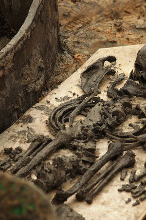 Britain's Biggest Dig