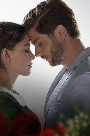 Un Camino Hacia el Destino