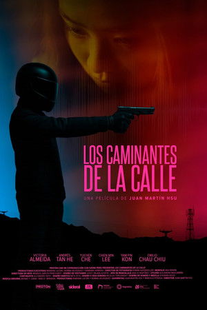 Los caminantes de la calle