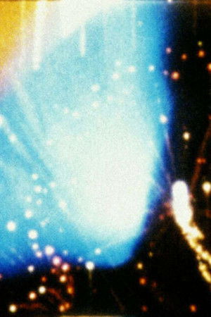 Looking for Mushrooms