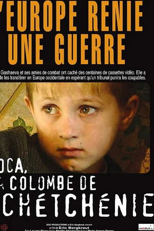 Coca: Die Taube von Tschetschenien