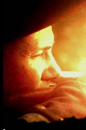 The War that Made America