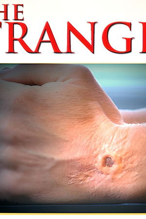 The Stranger