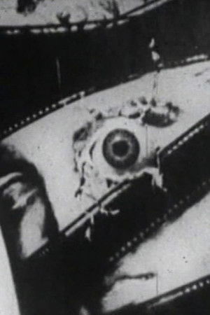 Comme le temps paxe vite