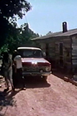 The Burks of Georgia