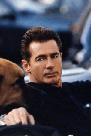 Le Nuove Avventure di Tequila & Bonetti