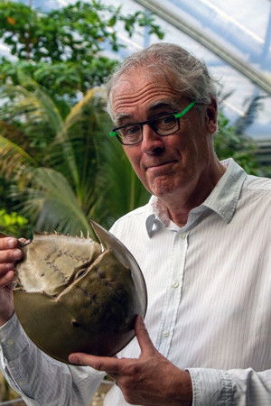 Govert naar de oorsprong van de mens