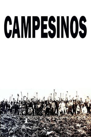 Campesinos