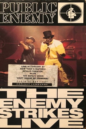 Public Enemy: The Enemy Strikes...Live