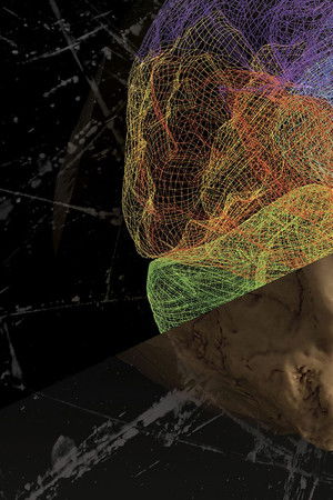 The Violence Paradox