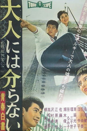 青春白書 大人には分らない