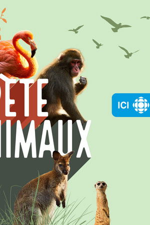 La vie secrète des animaux