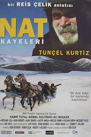 İnat Hikayeleri