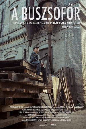 A Buszsofőr
