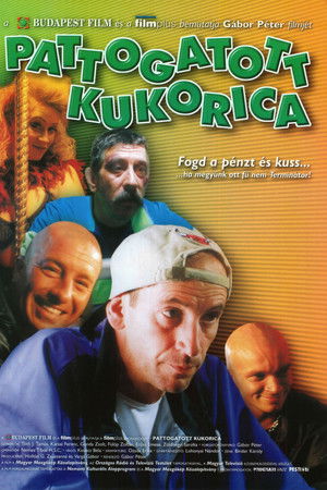 Pattogatott Kukorica