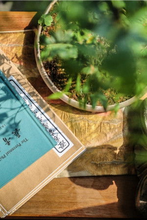 书房里的世界观