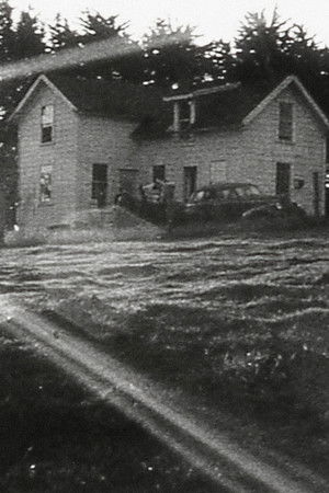 Have You Thought of Talking to the Director?