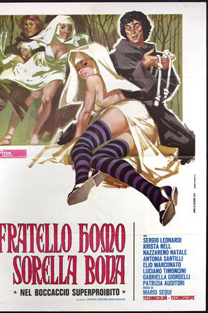 Fratello homo sorella bona