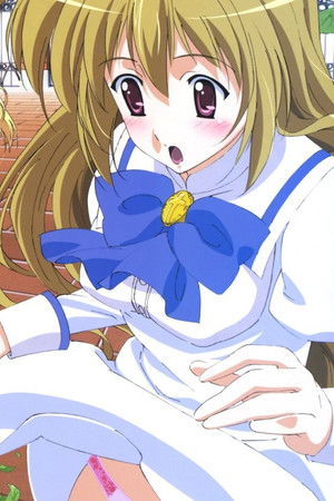 乙女はお姉さまに恋してる