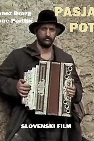 Pasja pot