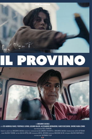 Il Provino