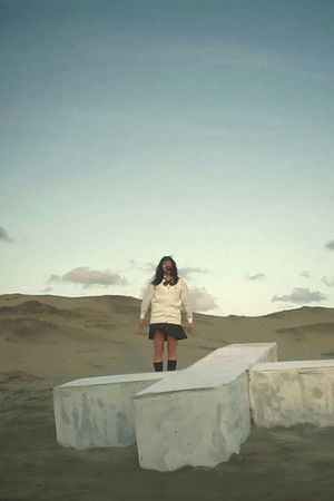 愛のむきだし 最長版 THE TV-SHOW