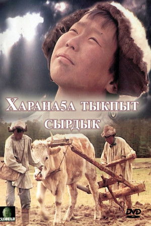 Харанаҕа тыкпыт сырдык