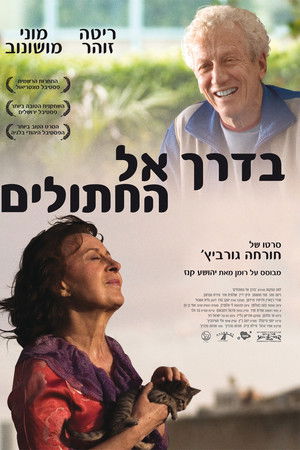 בדרך אל החתולים