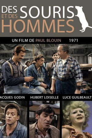 Des souris et des hommes