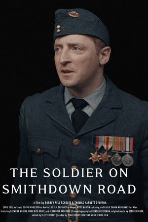 The Soldier on Smithdown Road