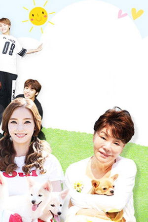 우리 집에 해피가 왔다