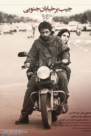 جیب‌بر خیابان جنوبی