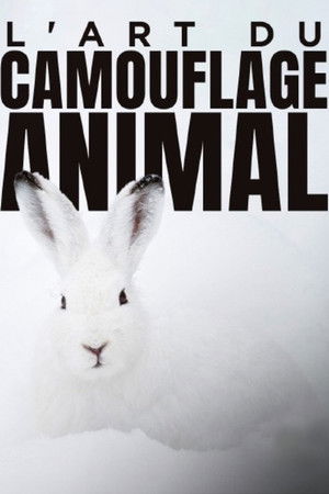 L'art du camouflage animal