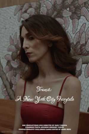 Transit: A New York City Fairytale