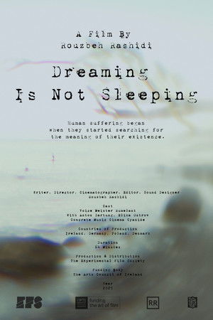 Dreaming Is Not Sleeping