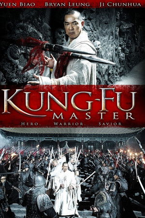 功夫大師
