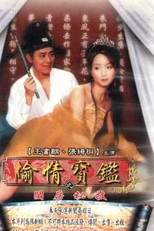 偷情宝鉴之闺房秘技