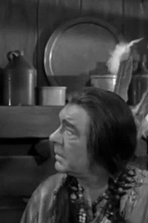 Hawkeye and the Last of the Mohicans