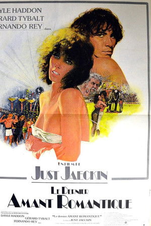 Le dernier amant romantique