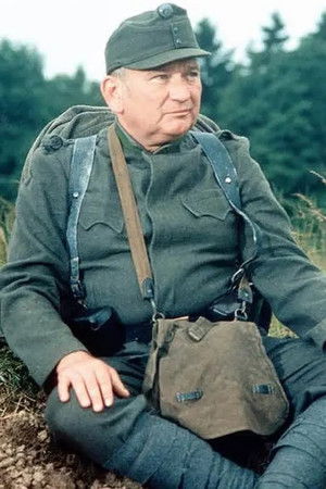 Die Abenteuer des braven Soldaten Schwejk