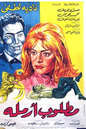 مطلوب أرملة